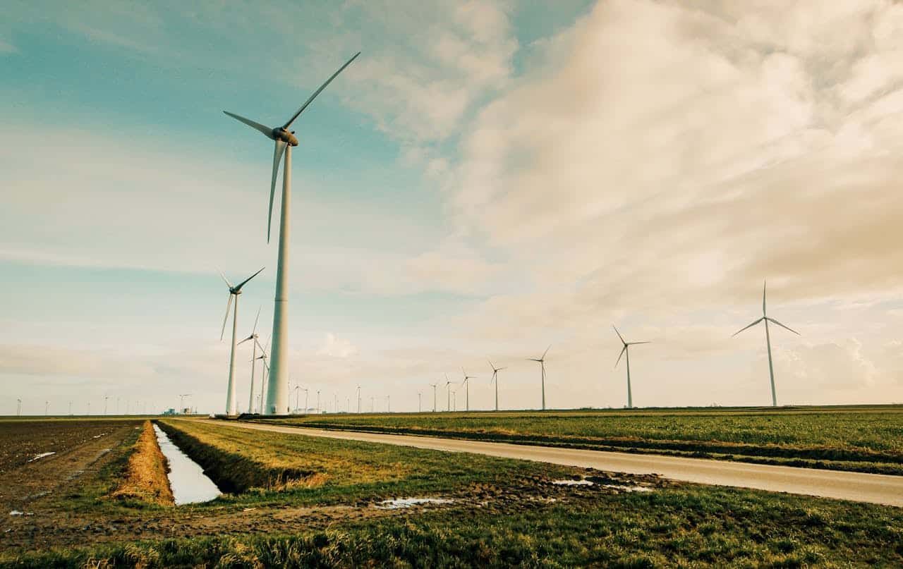 Wind Farms in Hawaii, Balancing Clean Energy with Environmental Concerns