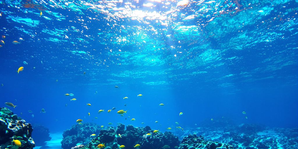 Unveiling the Underwater Wonders of Electric Beach Oahu